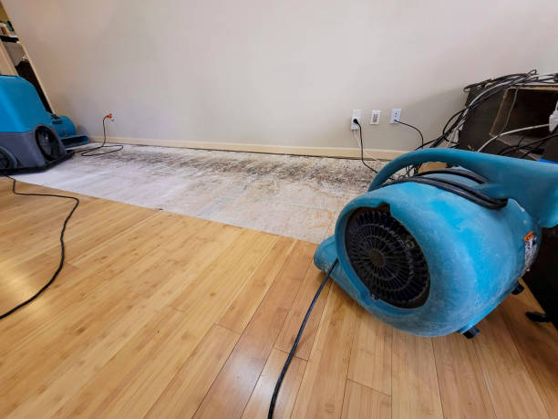 Professional Water Damage Repair technician working in Sycamore, OH